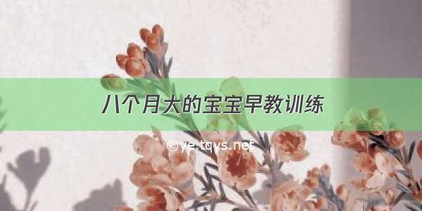 八个月大的宝宝早教训练