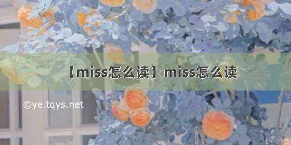 【miss怎么读】miss怎么读