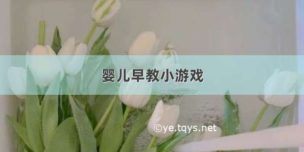 婴儿早教小游戏