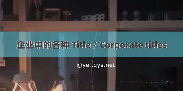 企业中的各种 Title / Corporate titles