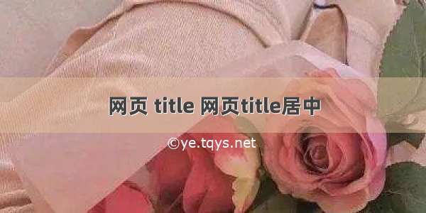 网页 title 网页title居中