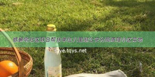 螺蛳墩社区联合帮扶单位八里湖公安分局清理小区菜地