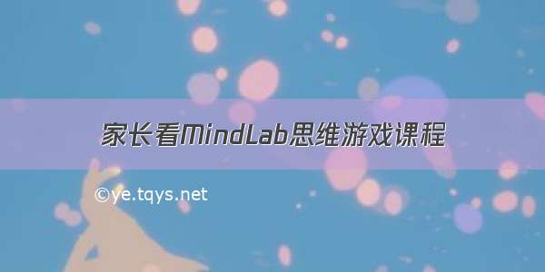 家长看MindLab思维游戏课程