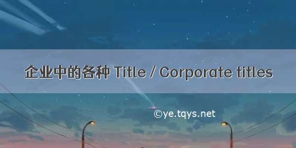 企业中的各种 Title / Corporate titles