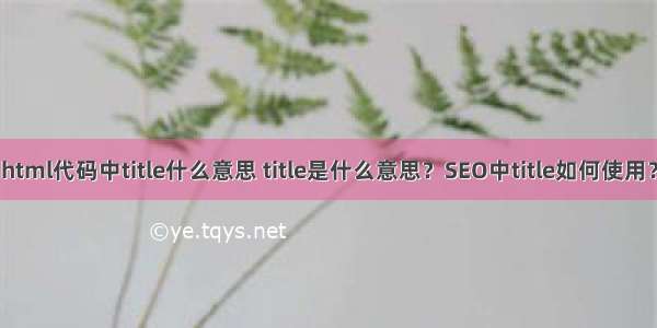 html代码中title什么意思 title是什么意思？SEO中title如何使用？