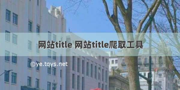 网站title 网站title爬取工具