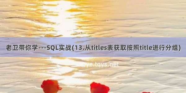 老卫带你学---SQL实战(13.从titles表获取按照title进行分组)