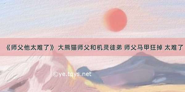 《师父他太难了》 大熊猫师父和机灵徒弟 师父马甲狂掉 太难了