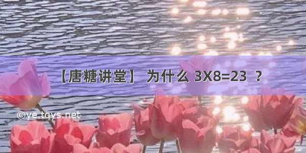 【唐糖讲堂】 为什么 3X8=23  ？