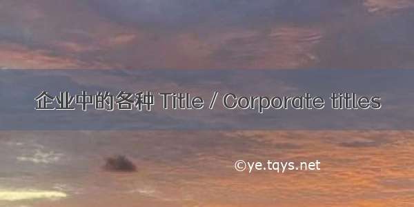 企业中的各种 Title / Corporate titles