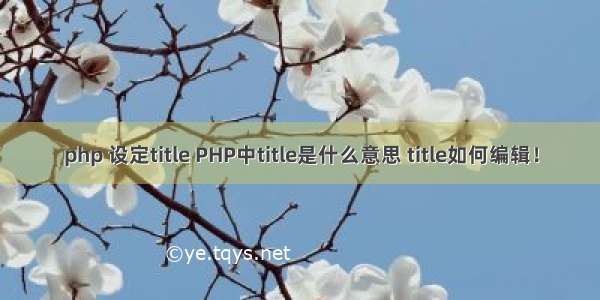 php 设定title PHP中title是什么意思 title如何编辑！