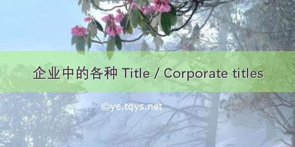 企业中的各种 Title / Corporate titles