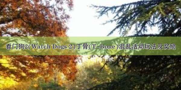 看门狗2(Watch Dogs 2)丁骨(T-Bone)混乱活动玩法及奖励