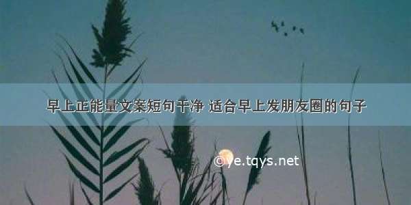 早上正能量文案短句干净 适合早上发朋友圈的句子