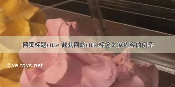 网页标题title 截获网站title标签之家内容的例子