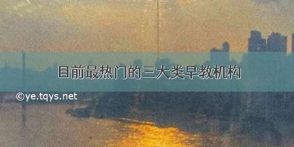 目前最热门的三大类早教机构