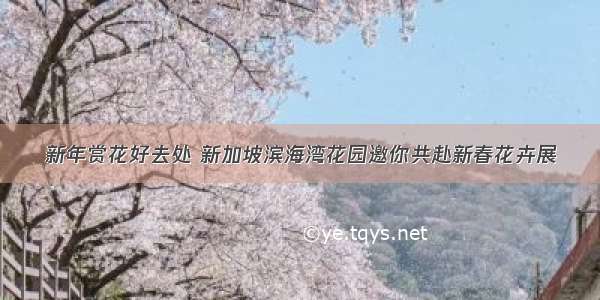 新年赏花好去处 新加坡滨海湾花园邀你共赴新春花卉展