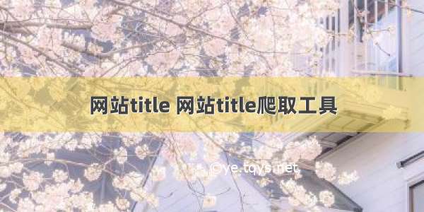 网站title 网站title爬取工具