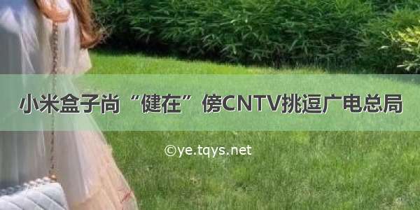 小米盒子尚“健在”傍CNTV挑逗广电总局