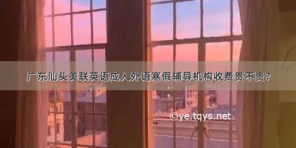 广东汕头美联英语成人外语寒假辅导机构收费贵不贵？