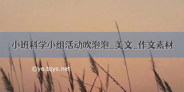 小班科学小组活动吹泡泡_美文_作文素材