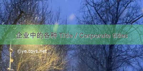 企业中的各种 Title / Corporate titles