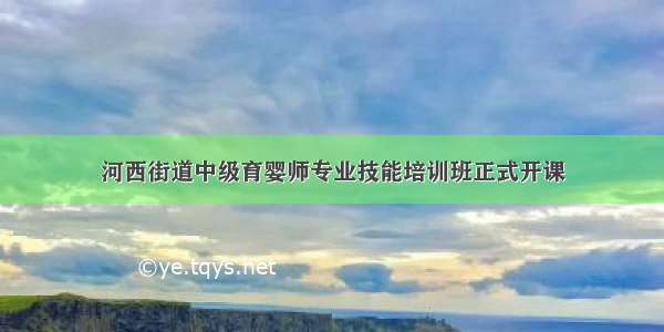 河西街道中级育婴师专业技能培训班正式开课