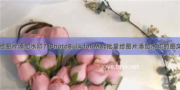 如何给图片添加水印？PhotoBulk for Mac批量给图片添加水印的图文教程