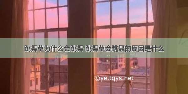 跳舞草为什么会跳舞 跳舞草会跳舞的原因是什么