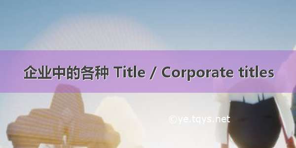 企业中的各种 Title / Corporate titles