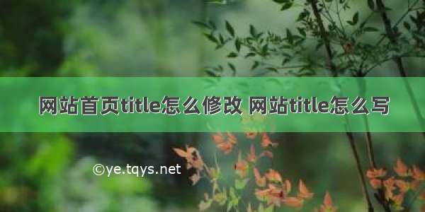 网站首页title怎么修改 网站title怎么写