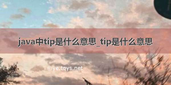 java中tip是什么意思_tip是什么意思