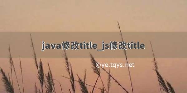 java修改title_js修改title