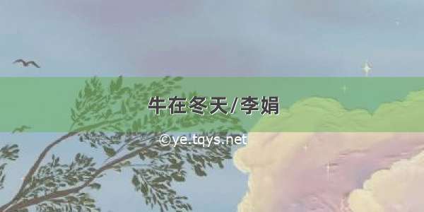 牛在冬天/李娟