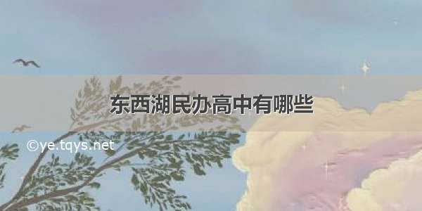 东西湖民办高中有哪些