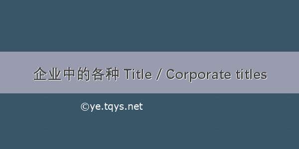 企业中的各种 Title / Corporate titles