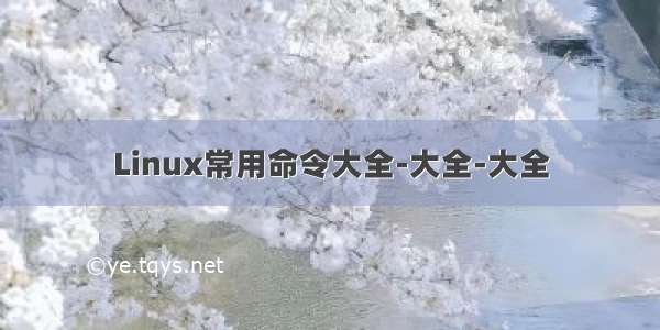 Linux常用命令大全-大全-大全