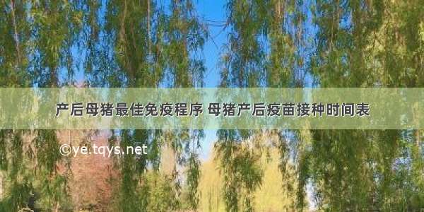 产后母猪最佳免疫程序 母猪产后疫苗接种时间表