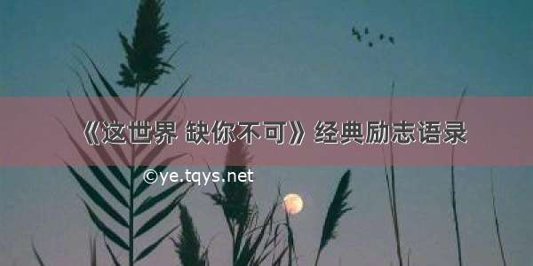 《这世界 缺你不可》经典励志语录