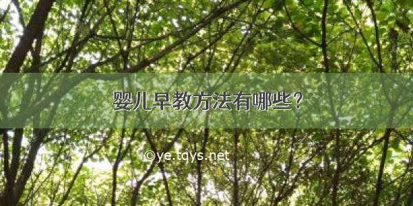 婴儿早教方法有哪些？