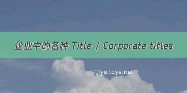 企业中的各种 Title / Corporate titles