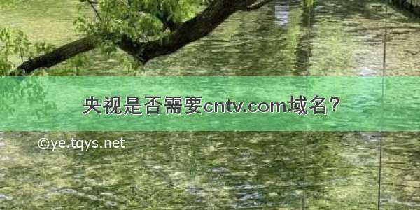 央视是否需要cntv.com域名？