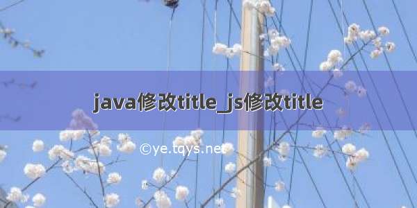 java修改title_js修改title