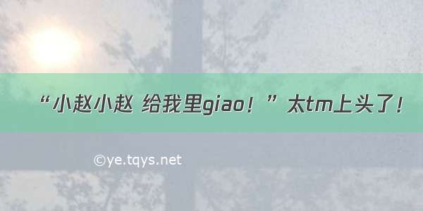 “小赵小赵 给我里giao！”太tm上头了！