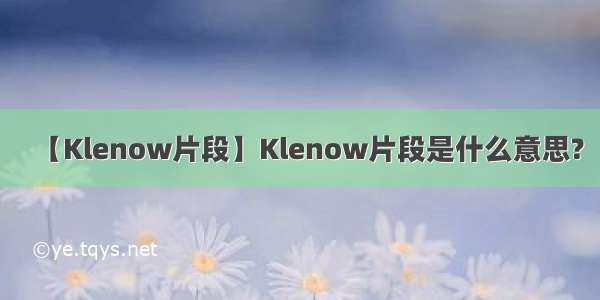 【Klenow片段】Klenow片段是什么意思?