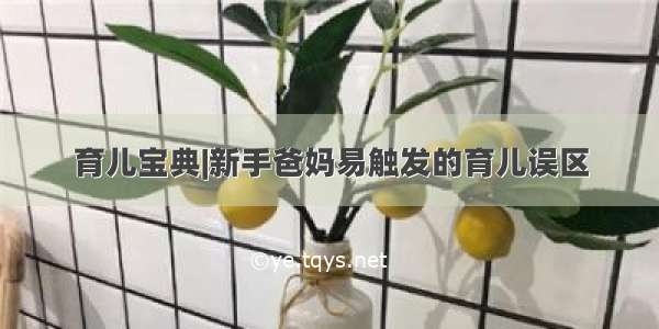 育儿宝典|新手爸妈易触发的育儿误区