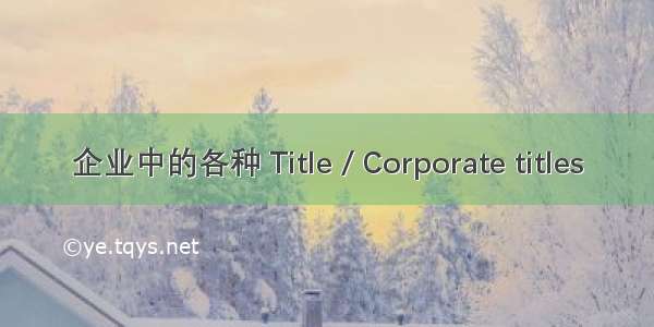 企业中的各种 Title / Corporate titles