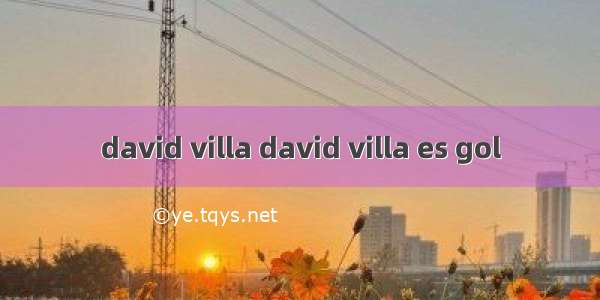 david villa david villa es gol