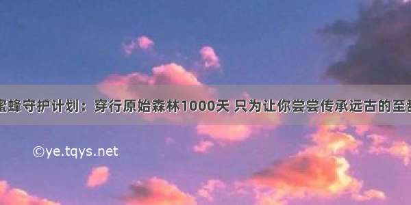 蜜蜂守护计划：穿行原始森林1000天 只为让你尝尝传承远古的至甜