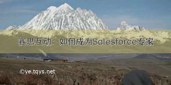 赛思互动：如何成为Salesforce专家